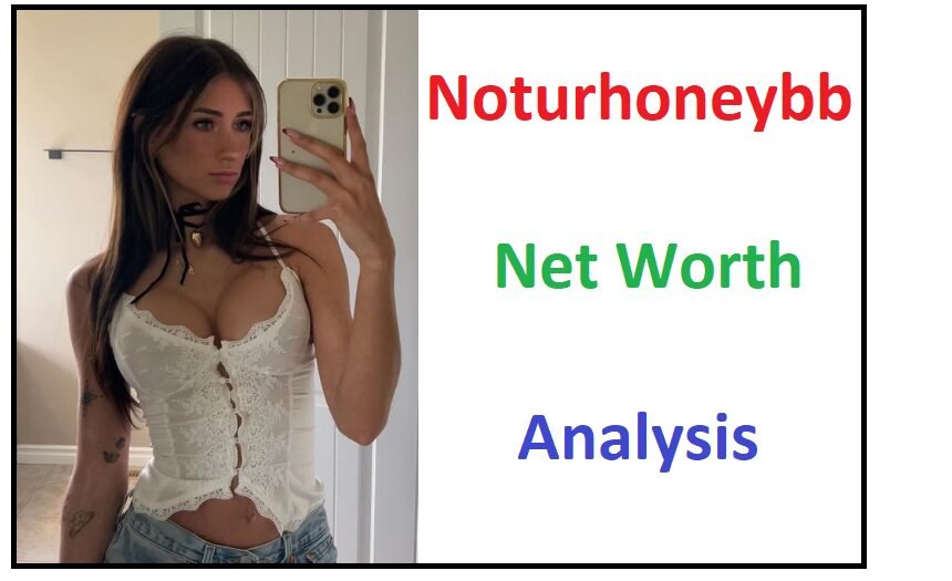 Noturhoneybb Net Worth Analysis